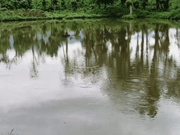 मानव–वन्यजन्तु द्वन्द्व रोक्न वनमा पानीको प्रबन्ध