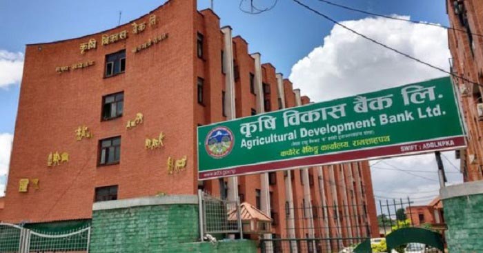 कृषि विकास बैंकमा सेवाग्राहीलाई सास्ती नै सास्ती