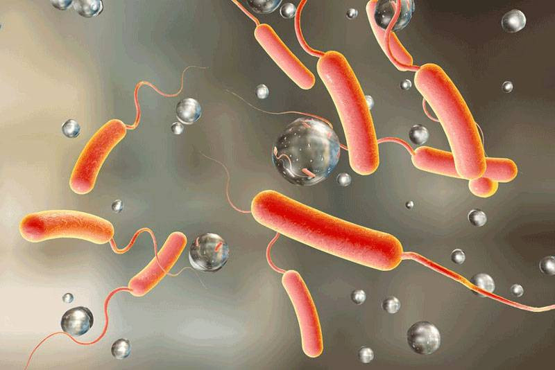 बागलुङका एक सय २५ खानेपानी मुहानमा ‘कोलिफर्म’ फेला