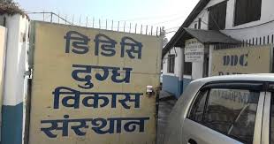 ‘डीडीसीले मंसिरदेखि किसानलाई दूधको भुक्तानी गर्न सकेन’