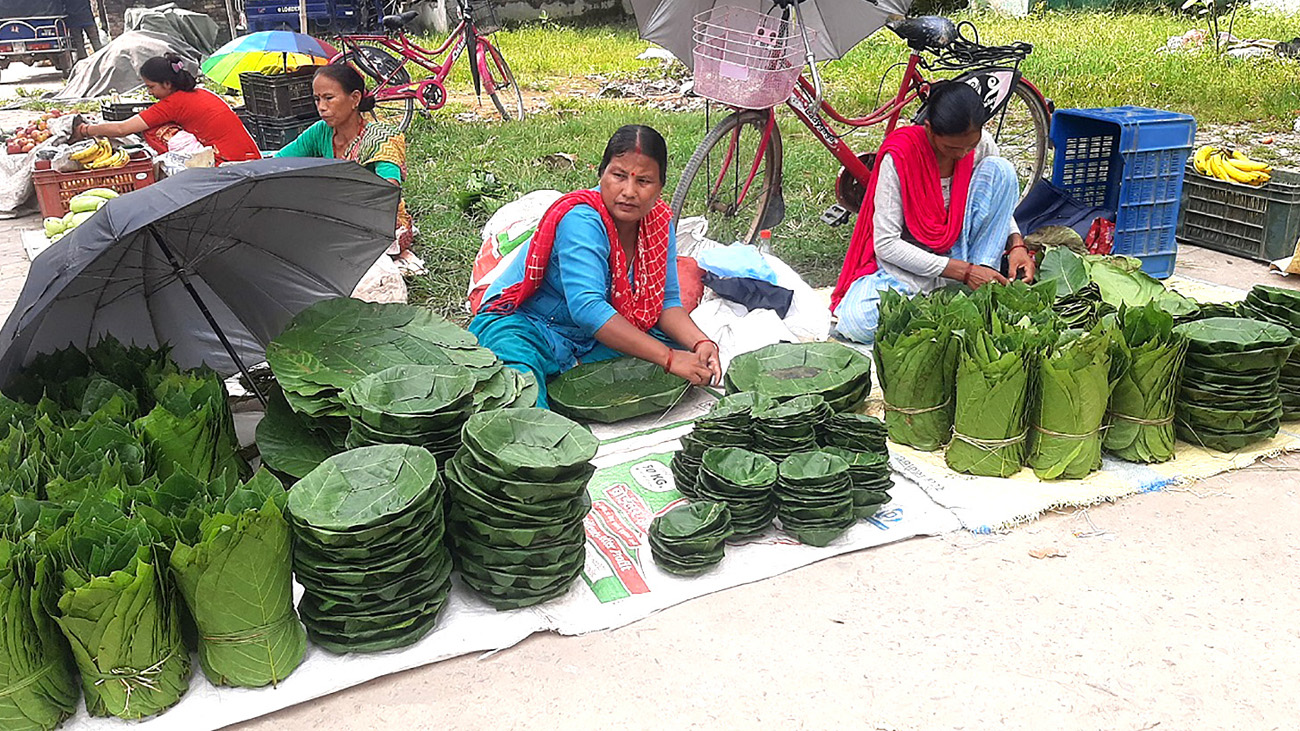 दुनाटपरी गाँसेर आर्थिक जोहो गर्दै महिला