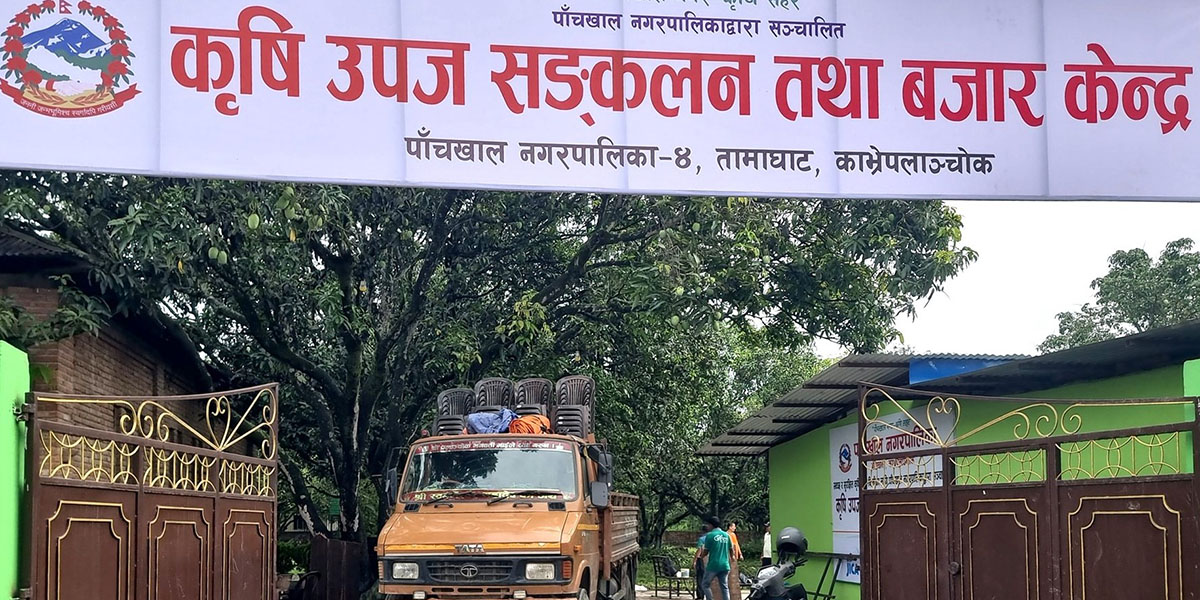 पाँचखालमा ‘विषादीरहित’ तरकारी सङ्कलन केन्द्र सञ्चालन