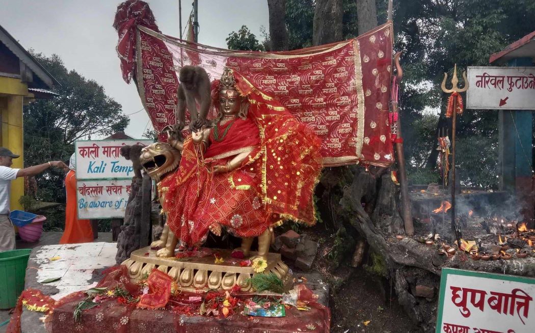 पाथीभरामा तीन वर्षमा चार करोड २३ लाख १३ तोला सुन र ६०९ तोला चाँदी सङ्कलन