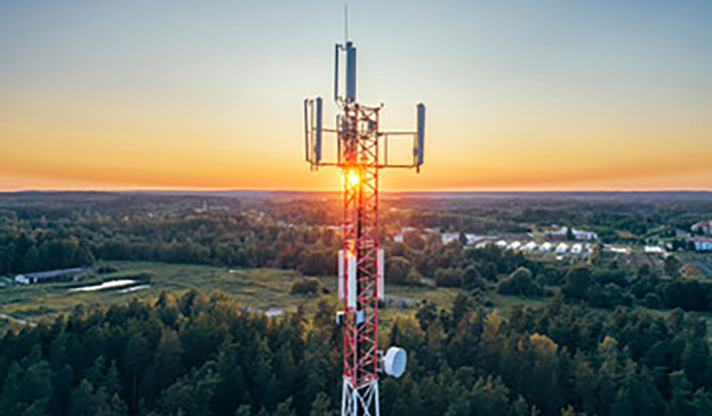 राजमार्ग क्षेत्रमा नेटवर्कको लागि जङ्गलमा टेलिकमको टावर