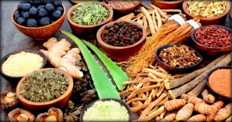 आयुर्वेद चिकित्सा: फाइदा धेरै प्रचार थोरै