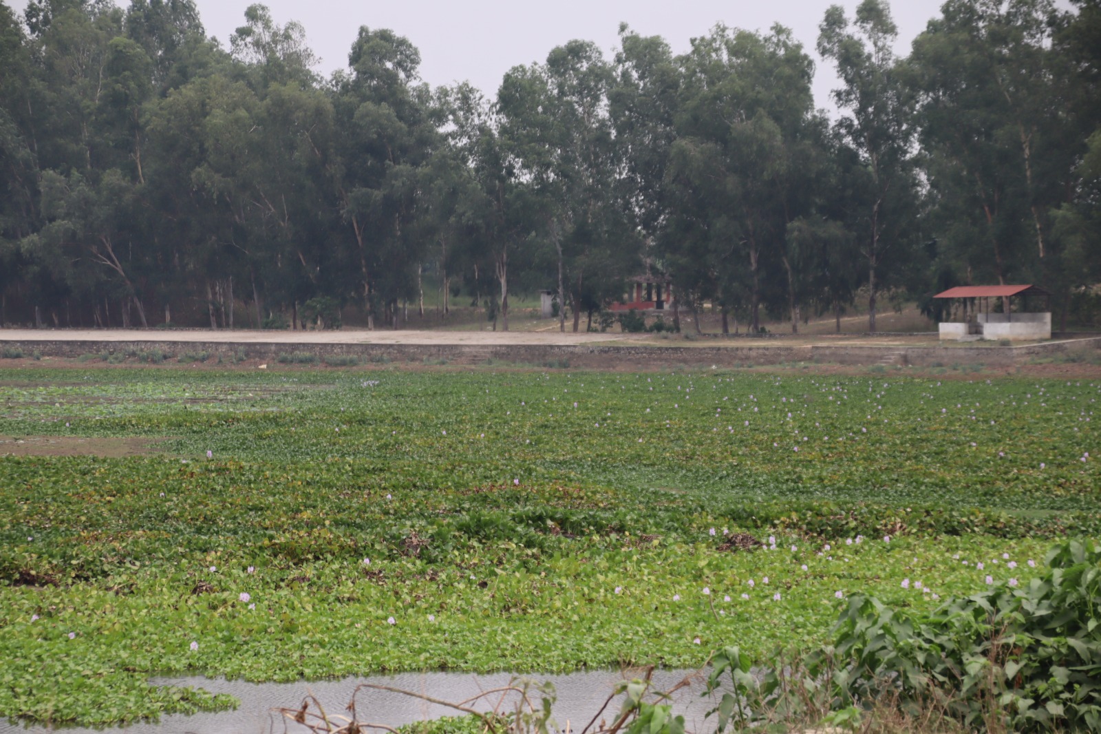 पाँच करोडको लगानीमा बन्धातालमा पूर्वाधार निर्माण गरिँदै