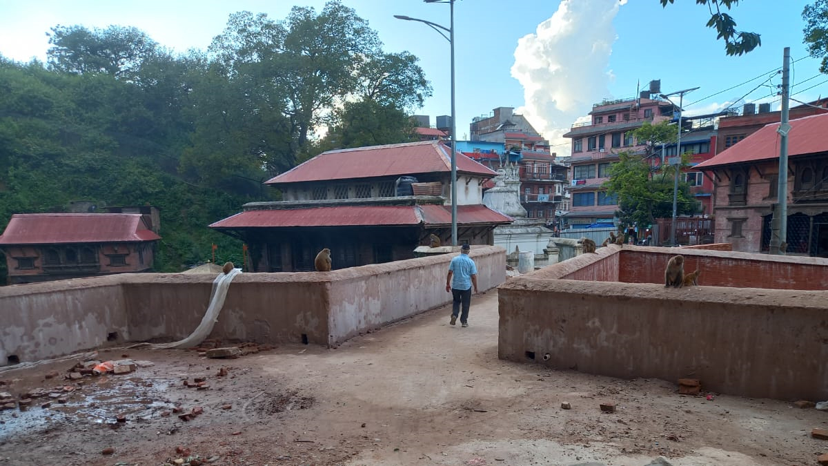 अलपत्र भएको करिब एक वर्षपछि बन्यो गौरीघाट पुल