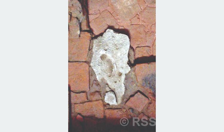 बुद्ध भगवानको जन्मबिन्टदुको मौन साक्षीः ‘जन्मस्मारक शिला’