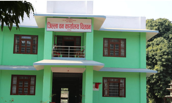 चितवनमा सडक किनारका जोखिमयुक्त रुख हटाउँदै वन कार्यालय