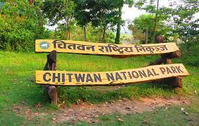 चितवन निकुञ्जमा वन्यजन्तुको आक्रमणबाट एक वर्षमा ११ जनाको मृत्यु