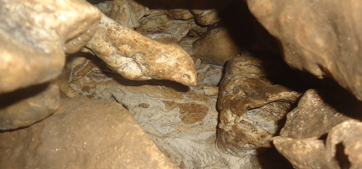 भोजपुरको धार्मिक तथा पर्यटकीय क्षेत्र चुलाचुली गुफा ओझेलमा