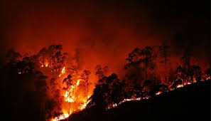 बाँकेमा ‘आगो नियन्त्रण दस्ता’ निर्माण
