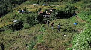 झाडी फाँडेर फलफूल बगैँचा