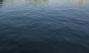 बरण्डाभार क्षेत्रको तालतलैया व्यवस्थापन गर्दै वन कार्यालय