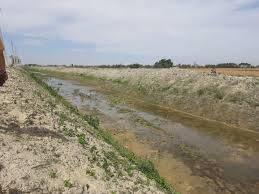 गण्डक नहर सरसफाइ अभियान तीव्र गतिमा