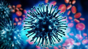 बैतडीको महरागाउँमा ‘इन्फ्लुएञ्जा बी’को सङ्क्रमण