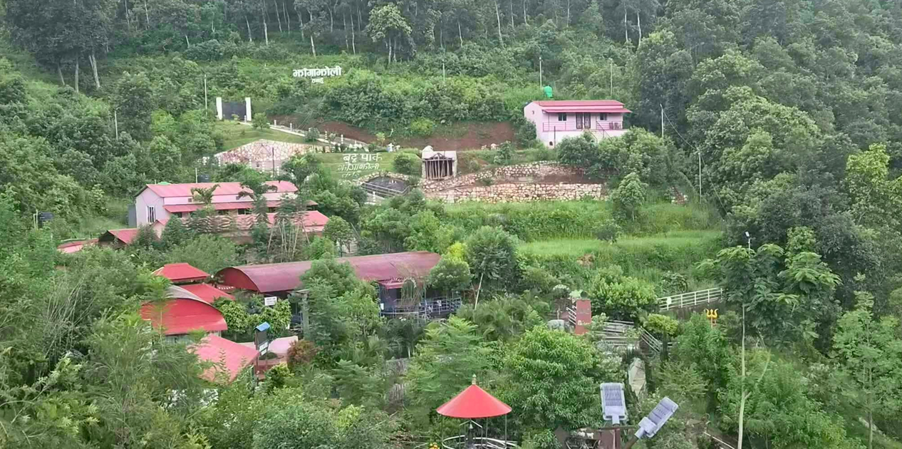 जडीबुटी उद्यान अवलोकन गर्न तनहुँको झाङ्गाझोली