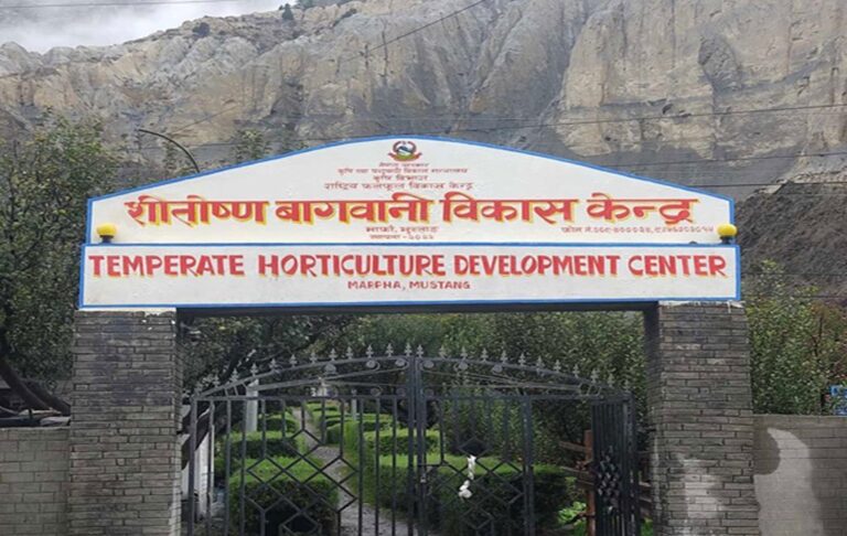 मुस्ताङमा फूलफूलखेती सिक्दै १४ जिल्लाका किसान
