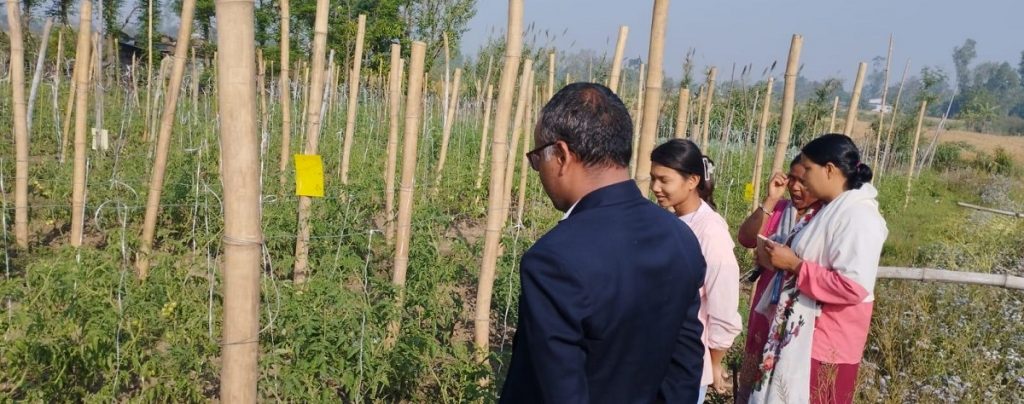 विषादीरहित तरकारी उत्पादनमा किसान