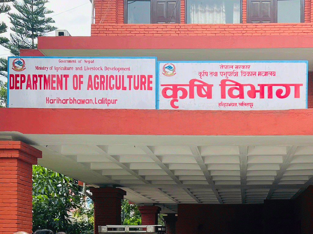 बीउ उत्पादन कार्यक्रम ५८ स्थानीय तहमा सञ्चालन