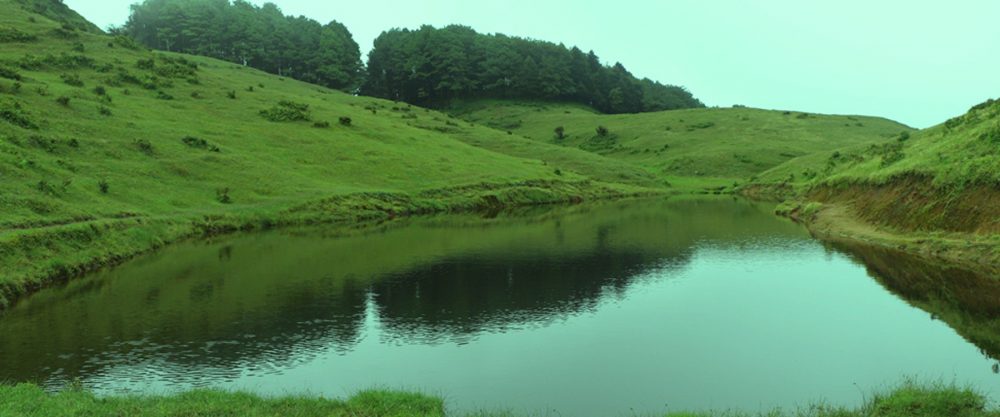 जलस्रोत संरक्षणसँगै पर्यटन प्रवर्द्धन थलथले पोखरी नयाँ गन्तव्य