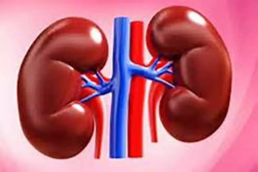 विषादी प्रयोगमा सावधानी नअपनाउँदा क्यान्सर र मिर्गौला रोगी बढ्दै