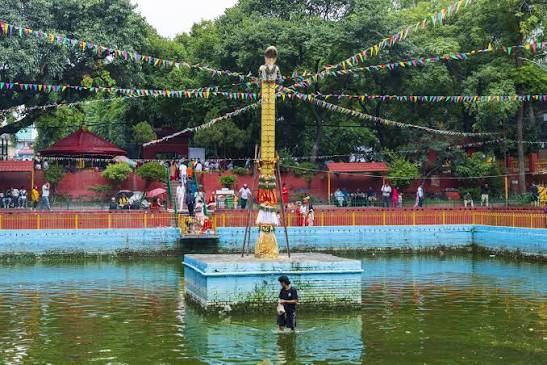 किन गरिन्छ नागको पूजा ?
