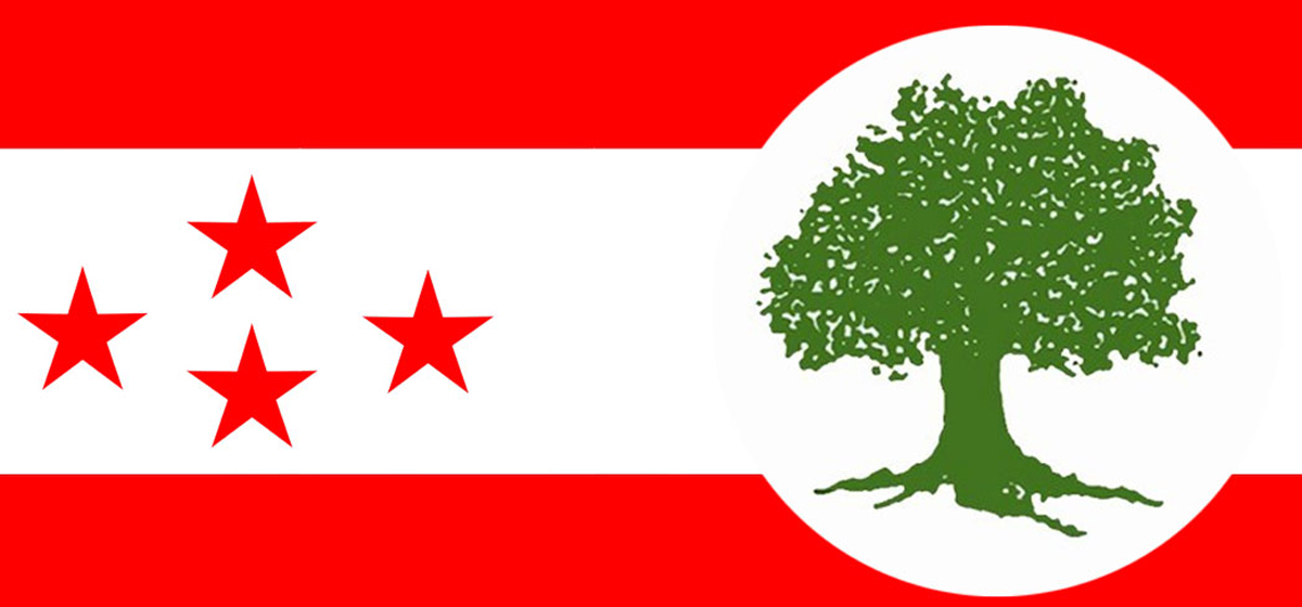 पुस २८ भित्र विशेष महाधिवेशन हुन कसैले रोक्न मिल्दैन: कांग्रेस महाधिवेशन पक्षधर