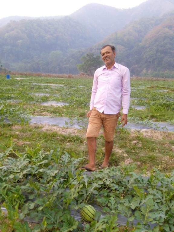 उदाहरणीय बन्दै सुरौदी तिखेढुङ्गामा खरबुजाखेती