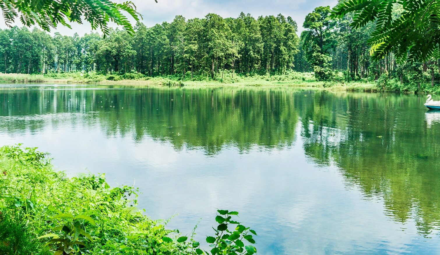 नेपालगन्जमा ऐतिहासिक तलाउ मासिँदै