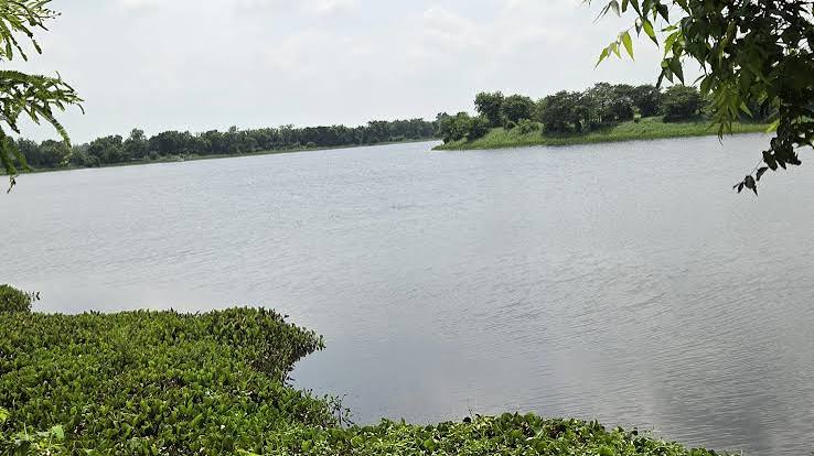 बर्जुताल पर्यटकको रोजाइमा