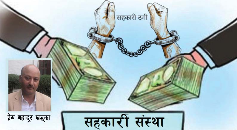 कसरी गुमाए सहकारी संस्थाले विश्वसनियता ?