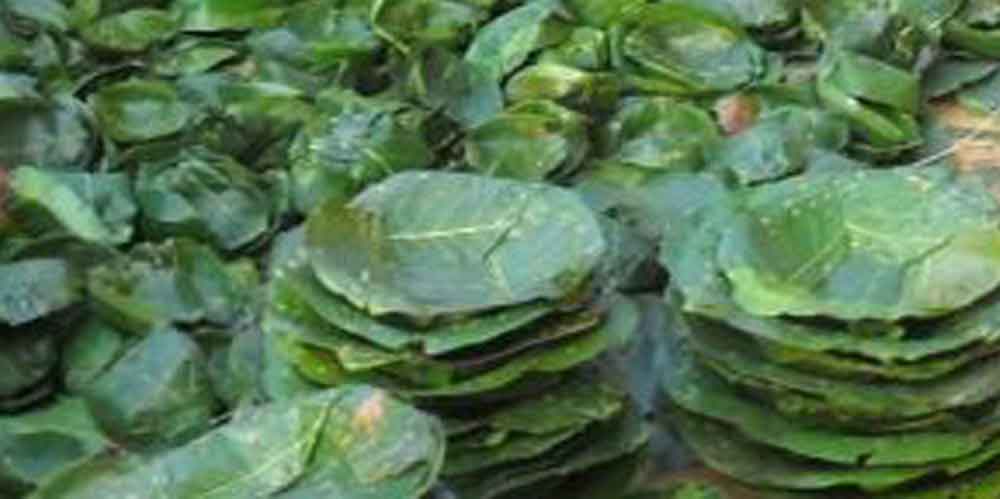 हराउँदै गाउँघरमा परम्परागत दुना टपरी