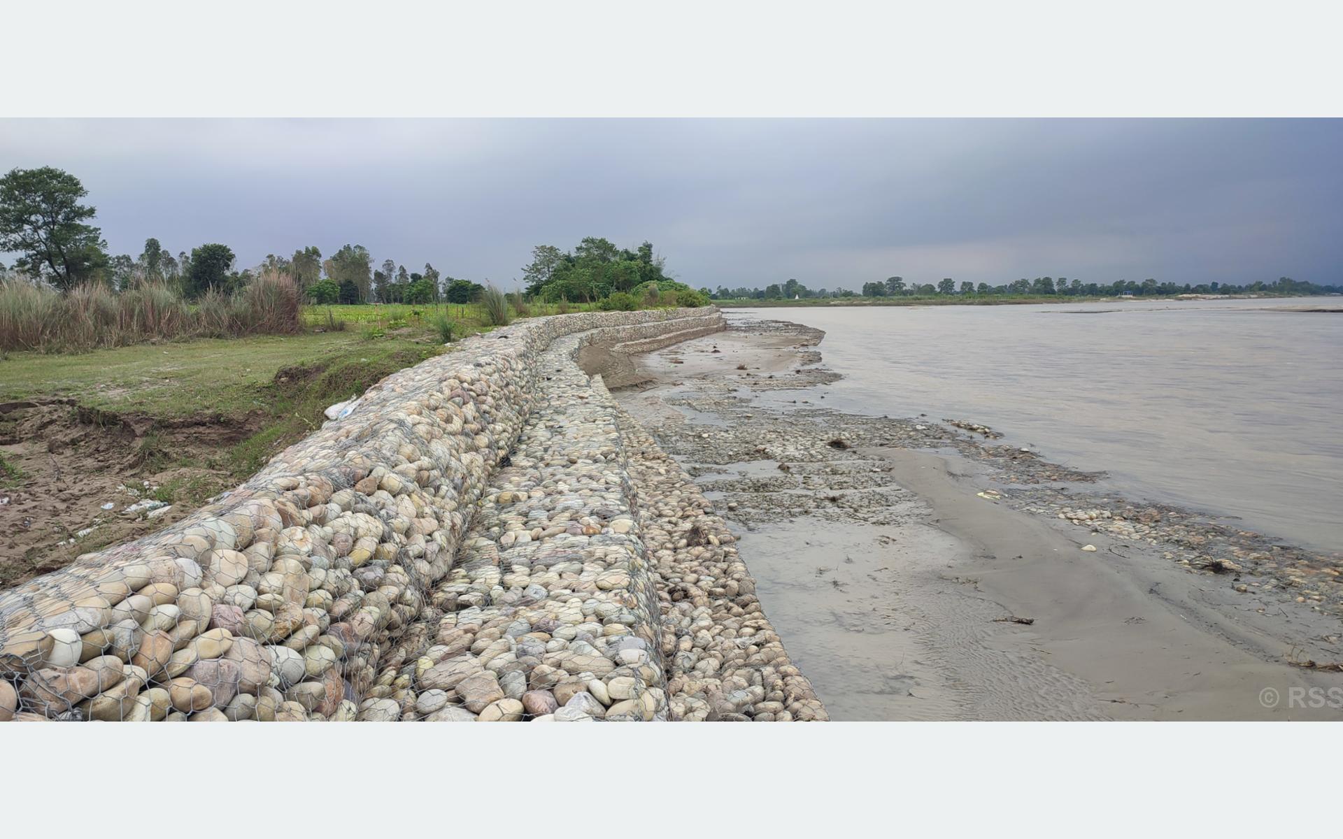 तटबन्धले सुरक्षित दोधारा चाँदनीको कुतियाकवर