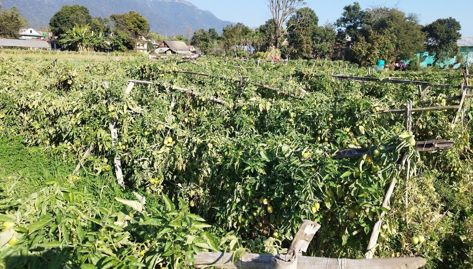 समूहबाट आर्थिक समृद्धि खोज्दै दाङका महिला